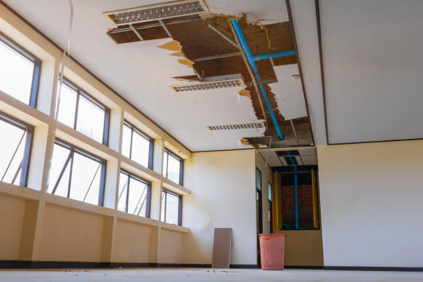Water damage restoration mold remediation in Leon Valley, TX