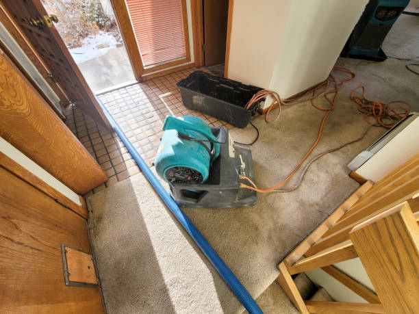 Trusted Leon Valley, TX Water damage restoration Experts