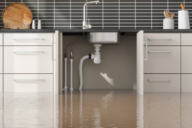 Best Water damage restoration near me  in Leon Valley, TX